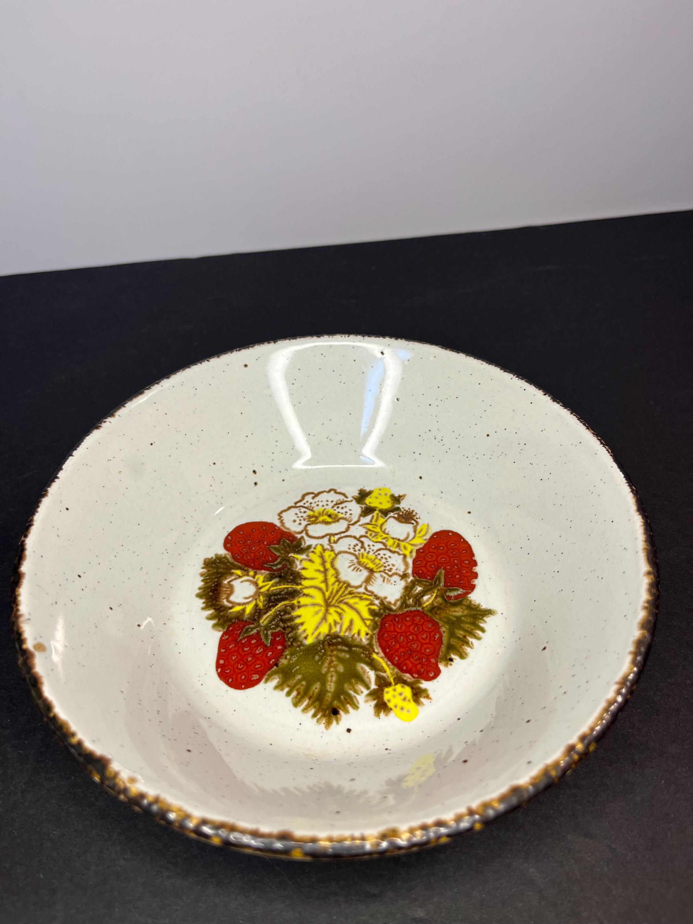 Stonehenge midwinter ヴィンテージ　大皿　美品 Assorted-Stonehenge-Midwinter-