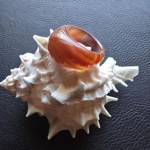 May include: A brown and orange glass ring with a swirl design, resting on a white seashell.