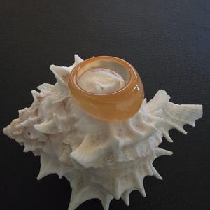 May include: A translucent orange ring with a smooth, rounded surface, resting on a white seashell with a textured, spiky exterior.