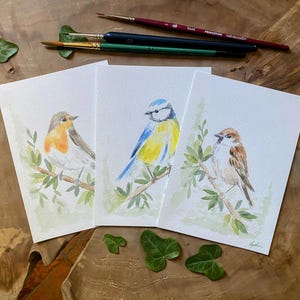 Lot de 3 cartes postales aquarelle peintes à la main-Oiseaux du jardin- Rouges-gorge, mésange et moineau- Format A6-Oeuvre unique signée