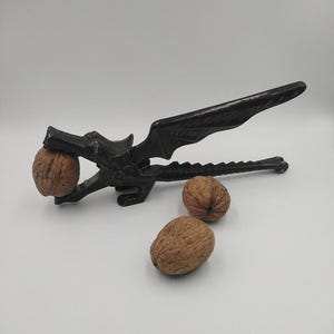 Può includere: Uno schiaccianoci in metallo nero a forma di drago, con una noce nelle sue fauci e due noci vicine. Lo schiaccianoci ha un design dettagliato e un manico a leva. Le noci sono marroni e strutturate.