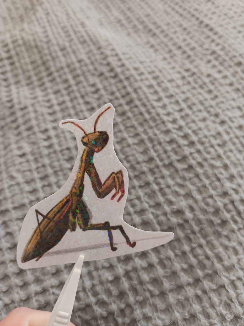 Praying Mantis Sticker - Etsy