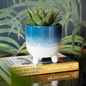 May include: A blue and white ceramic planter with three legs, featuring a gradient design. A succulent plant is growing in the planter. The planter is sitting on top of a book titled "How Not To Kill Your Plants" by Nik Southern.