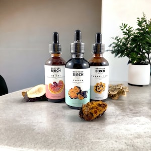 Tinturas de cogumelos com dupla extração: Reishi, Chaga, Cauda de Peru