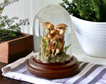 Real Mushroom specimen glass dome cloche,Mushroom Art,Mushroom Gifts,Mushroom Gift,Mushroom Decor,Natural History,Specimen Jar,Fungi Gift