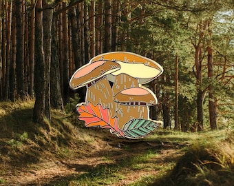 Spilla smaltata Boletus Edulis: spilla con fungo porcino reale