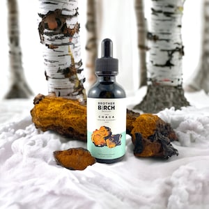 Tintura de Chaga de Extração Dupla: Medicina de Cogumelos Silvestres (2 OZ / 60 ml)