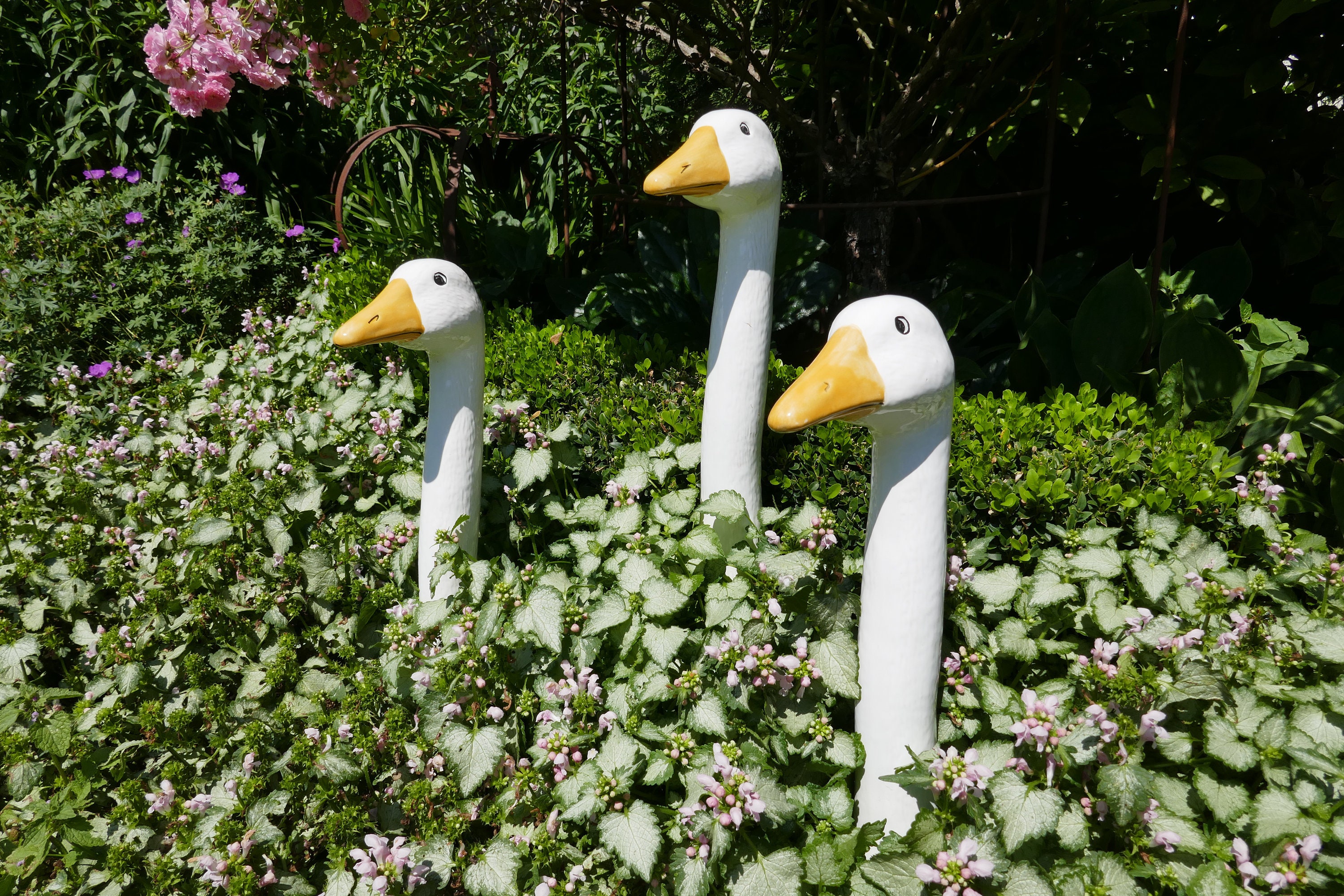 Lot De 4 Piquets De Jardin En Métal En Forme De Canard - Art De Jardin - Silhouette Artistique - Décoration En Métal - Animaux - Pour L'extérieur - Statues De Jardin