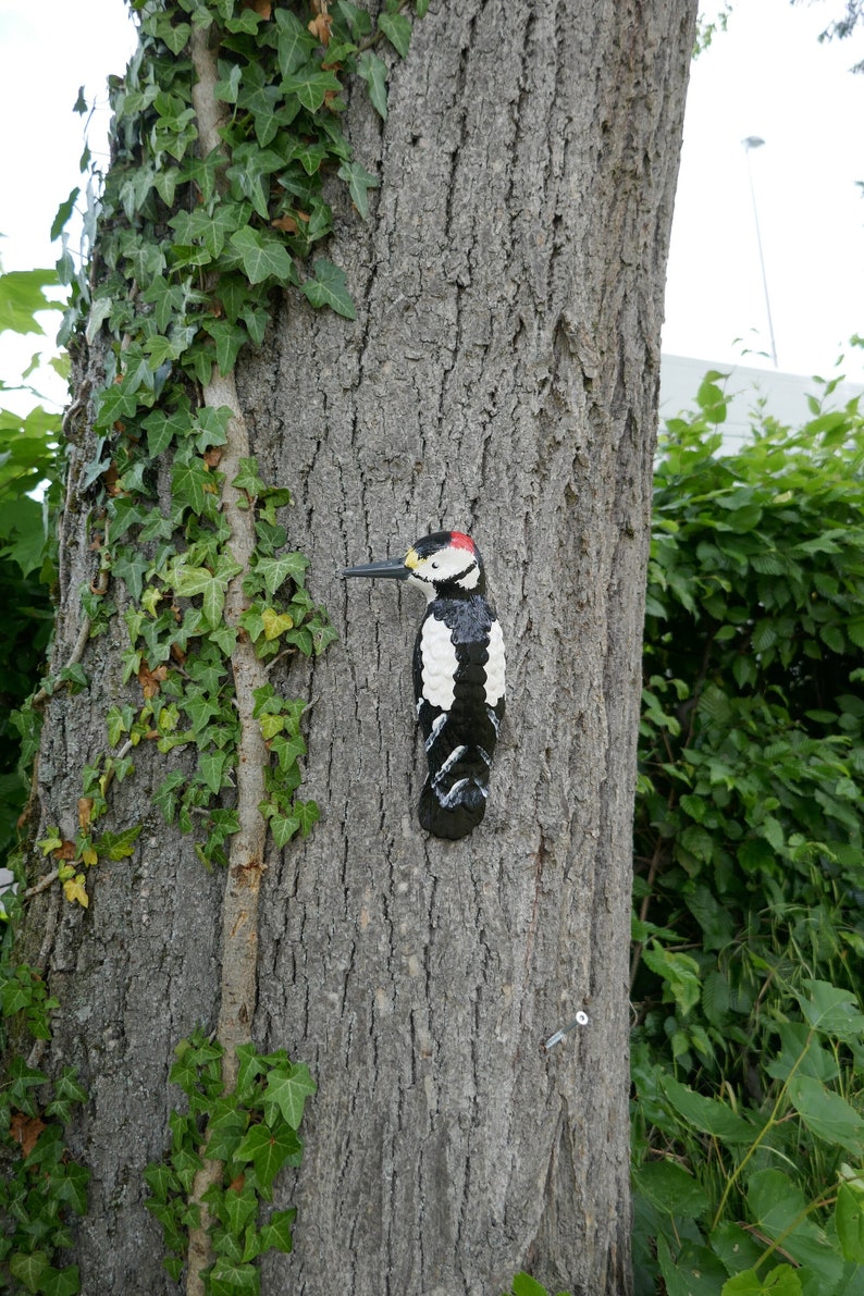 Peut inclure: Une figurine de pic noir et blanc avec une cr&ecirc;te rouge est fix&eacute;e &agrave; un tronc d'arbre recouvert de lierre vert.