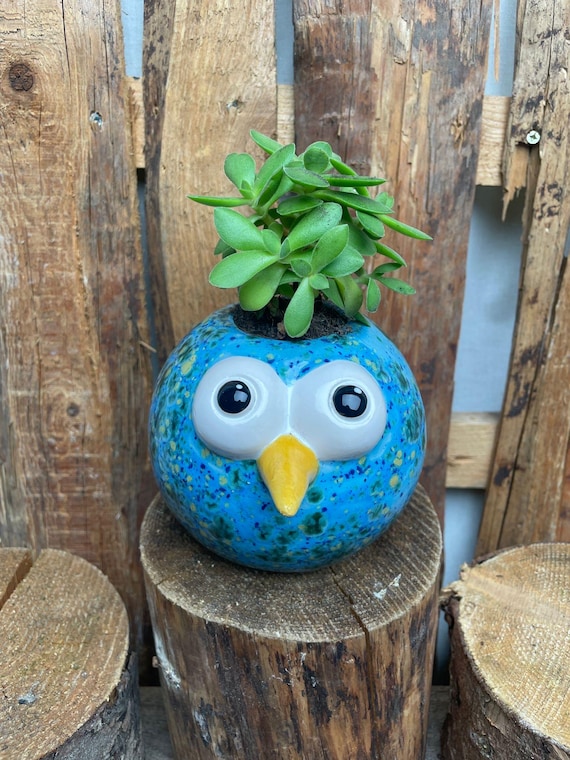 bewässerungssystem blumenkasten AQUARI Pflanzkasten 50 x 50 x 35 cm mit Bewässerungssystem – vormontie –  VidaAtHome.de