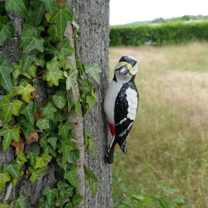 Peut inclure: Une figurine de pic noir et blanc avec des accents rouges est fix&eacute;e &agrave; un tronc d'arbre recouvert de lierre vert.