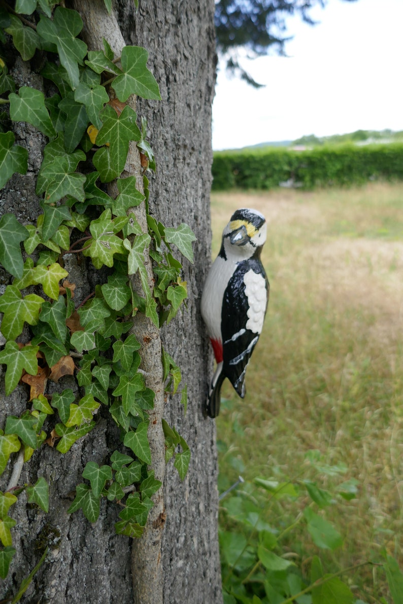 Peut inclure: Une figurine de pic noir et blanc avec des accents rouges est fix&eacute;e &agrave; un tronc d'arbre recouvert de lierre vert.