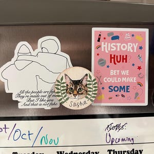 May include: A collection of decorative magnets on a refrigerator. One magnet features a cat named Sasha, surrounded by leaves. Another magnet has the text "History Huh? Bet We Could Make Some" with various illustrations. A third magnet has the text "All the people are fake, They're made out of me, But I like you, And that is not fake."