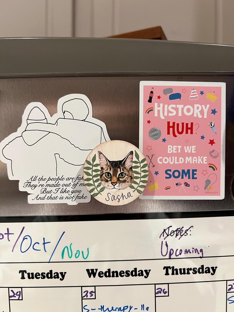 May include: A collection of decorative magnets on a refrigerator. One magnet features a cat named Sasha, surrounded by leaves. Another magnet has the text "History Huh? Bet We Could Make Some" with various illustrations. A third magnet has the text "All the people are fake, They're made out of me, But I like you, And that is not fake."