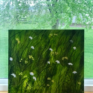 Wildflower Meadow