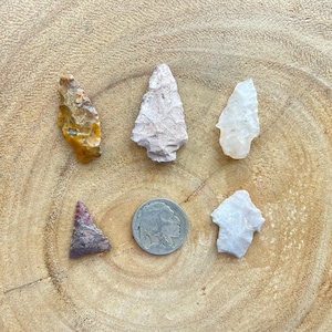May include: Five arrowheads of different colors and shapes, including brown, white, and yellow, are arranged on a wooden surface. A silver coin is in the center.