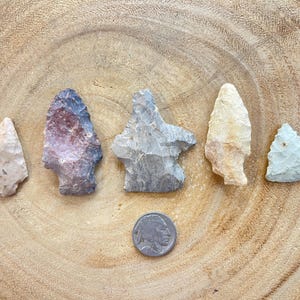 May include: Five stone arrowheads in varying colors, including tan, gray, and purple, are arranged on a wooden surface. A silver coin with a profile is also present. The arrowheads vary in size and shape.