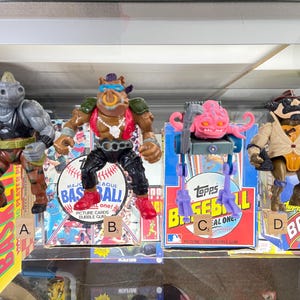 1988 Teenage Mutant Ninja Turtles, Playmates, Mirage Studios, Choose Your Figure