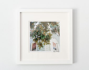 Loquat Tree Print | Charleston Fine Art Print | Rainbow Row Art | Charleston SC Photography