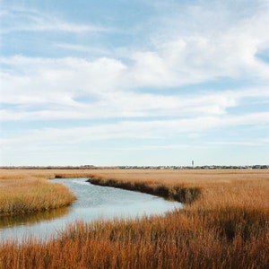 8x8" matted The Cove Print | Charleston Fine Art Print | Old Village Mount Pleasant | Charleston SC Photography