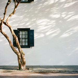4x4" matted Evening on Tradd Print | Charleston Fine Art Print | Rainbow Row Art | Holy City Arts