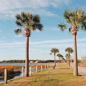 8x8" matted Pitt Street Bridge Print | Charleston Fine Art Print | Old Village Mount Pleasant | Charleston SC Photography