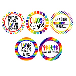 Set of 5 Gay Pride Vinyl Stickers Decals -- Easy Peel -Stickers - 2 inch or 3 inch, LGBTQ, Lesbian, Gay, Rainbow