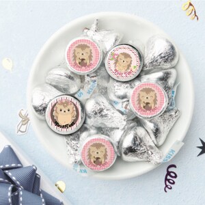 Assorted Pink Hedgehog 1 sheet of 108 - .75&quot; round PRINTED LABELS ONLY for Kisses or Mini Peanut butter  Cups Party Favors