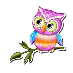 Colorful Owl Vinyl Sticker Decal Country Birthday Party Supplies,  Journal Stickers, Notebooks - Choose size