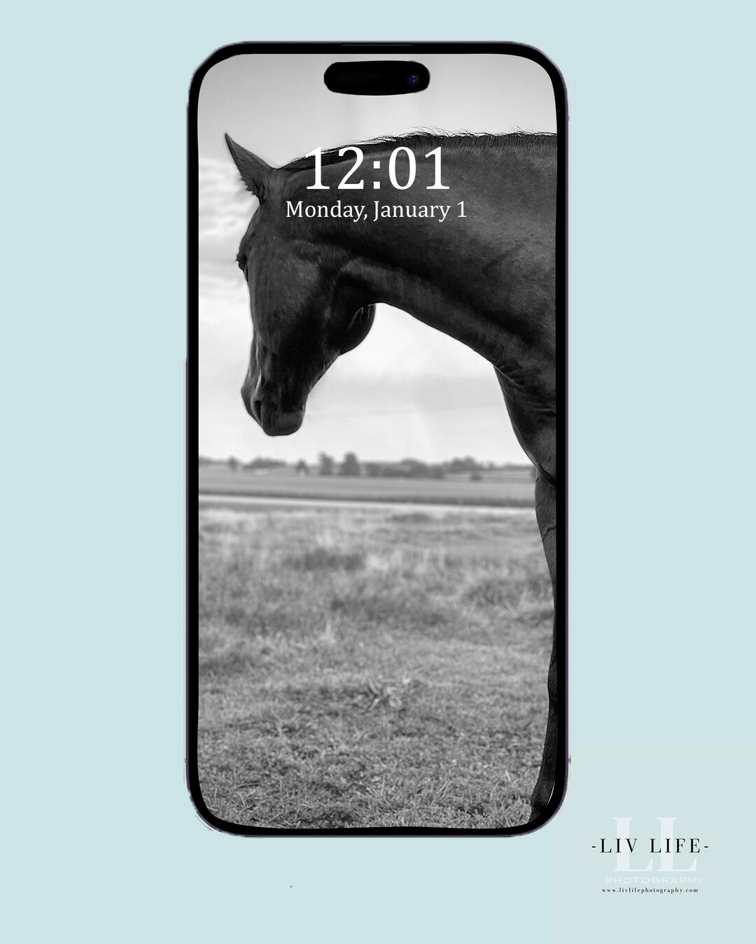 Horse Cell Phone Wallpaper Black and White Mobile Phone Etsy