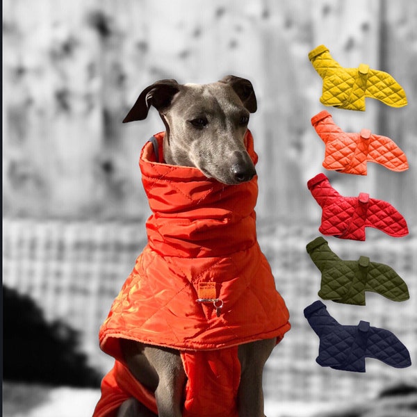 Manteau matelassé pour chien de chasse doublé polaire 12 tailles XS jusqu'à 5XL ! Convient pour Whippet italien et Greyhound, Saluki, Lurcher, etc.