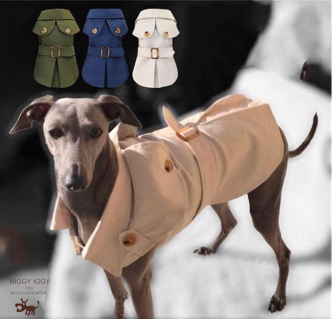 Buy HERMES Hermes dog wear trench coat pet supplies clothes dog