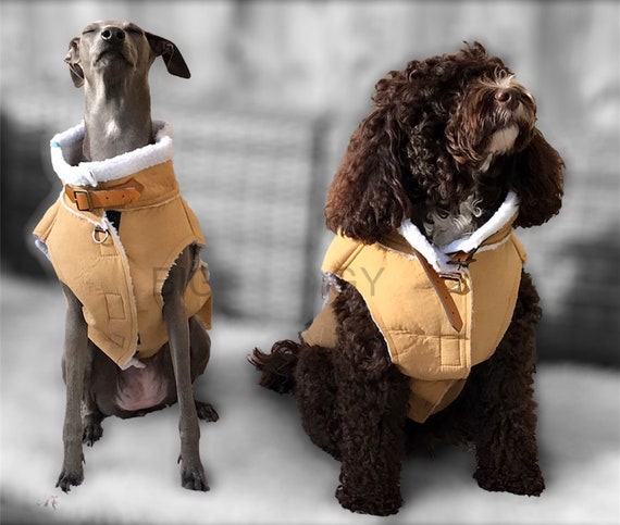 Sheepskin dog jacket sale