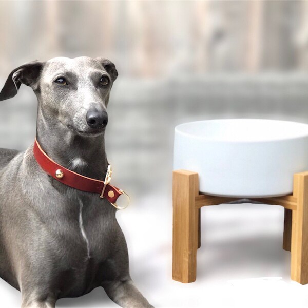 Large Ceramic Bowl Etsy