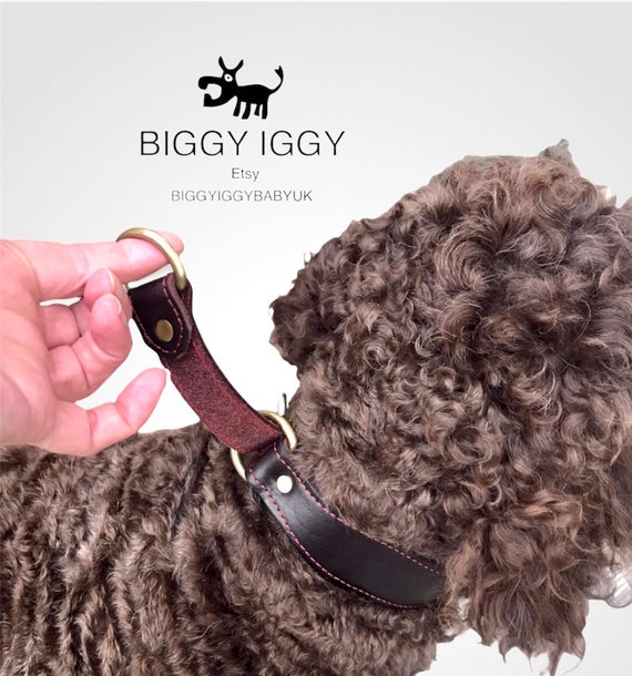 Real Leather Dog Collar Selfadjusting Martingale Style Etsy