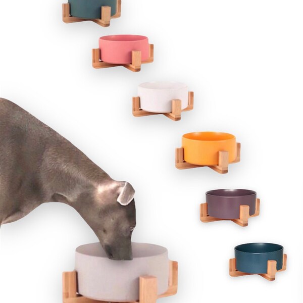 Raised Dog Bowls Etsy