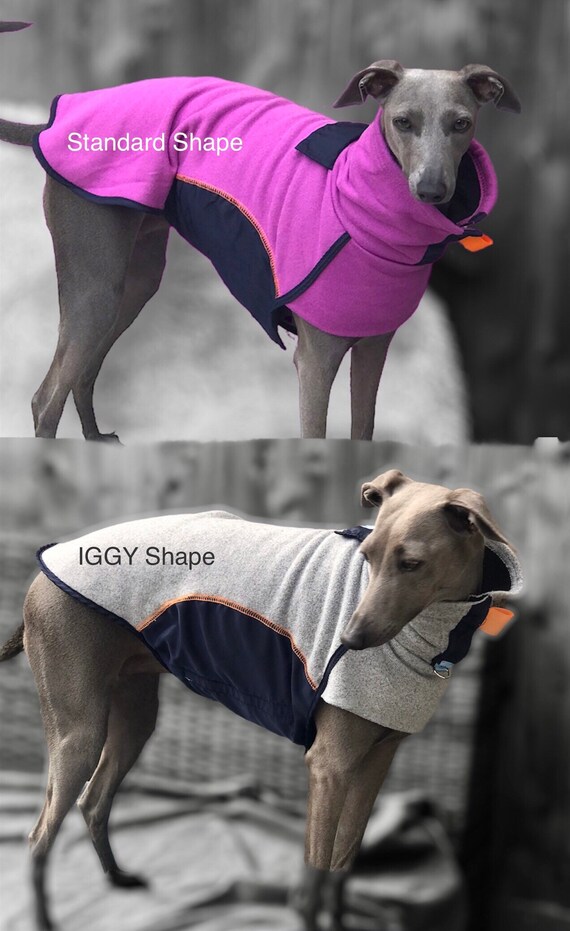 Dog Walking Coat Standard Shape Lightweight Jersey Perfect for Etsy