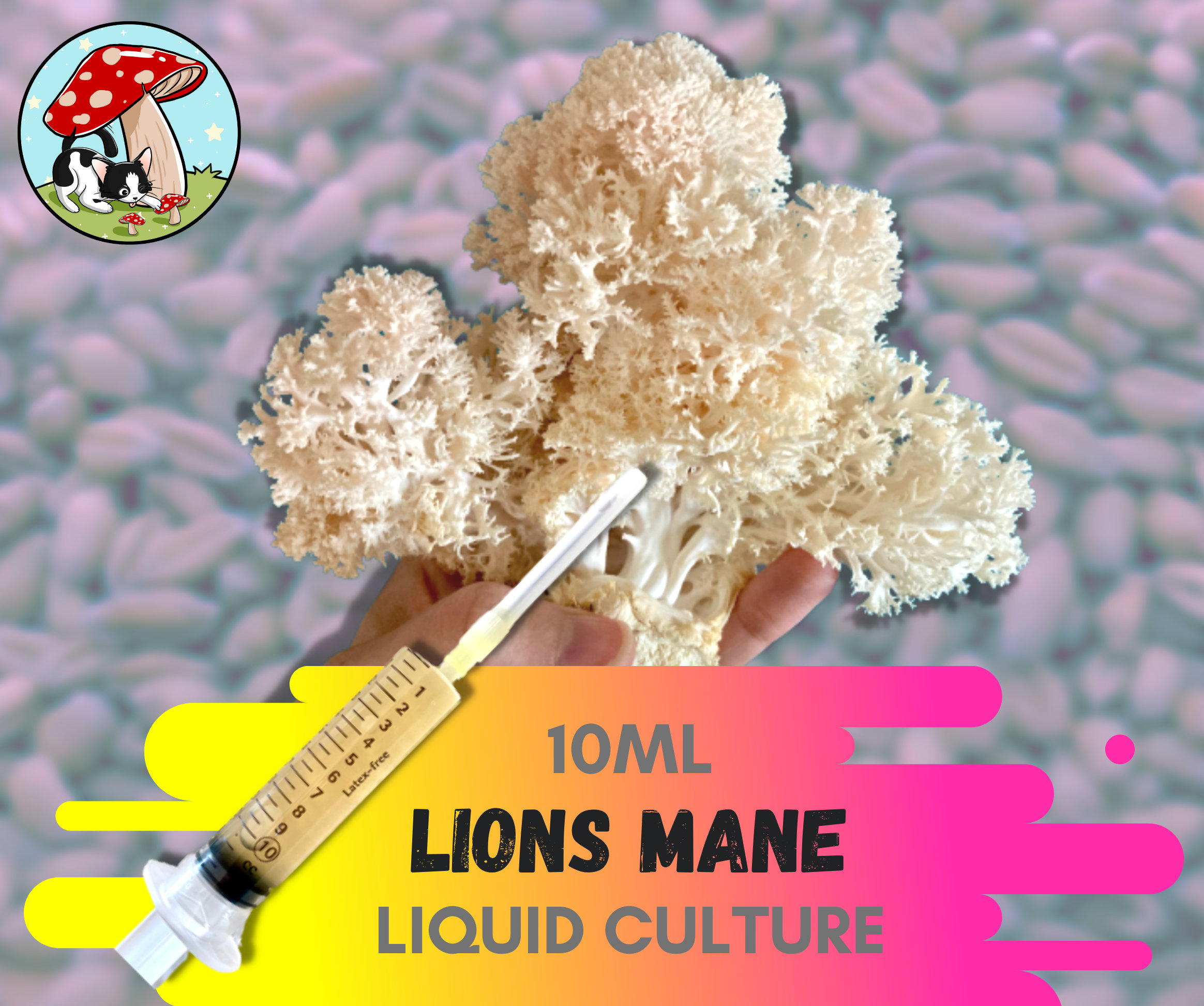 Lions Mane Liquid Culture Syringe Gourmet Mushroom Etsy