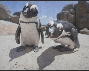 Was es vor dem Bestellen die Fußmatte pinguin zu untersuchen gilt