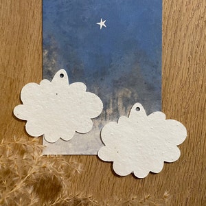 Set d’étiquettes cadeaux Plantable Cloudy | 10 pièces
