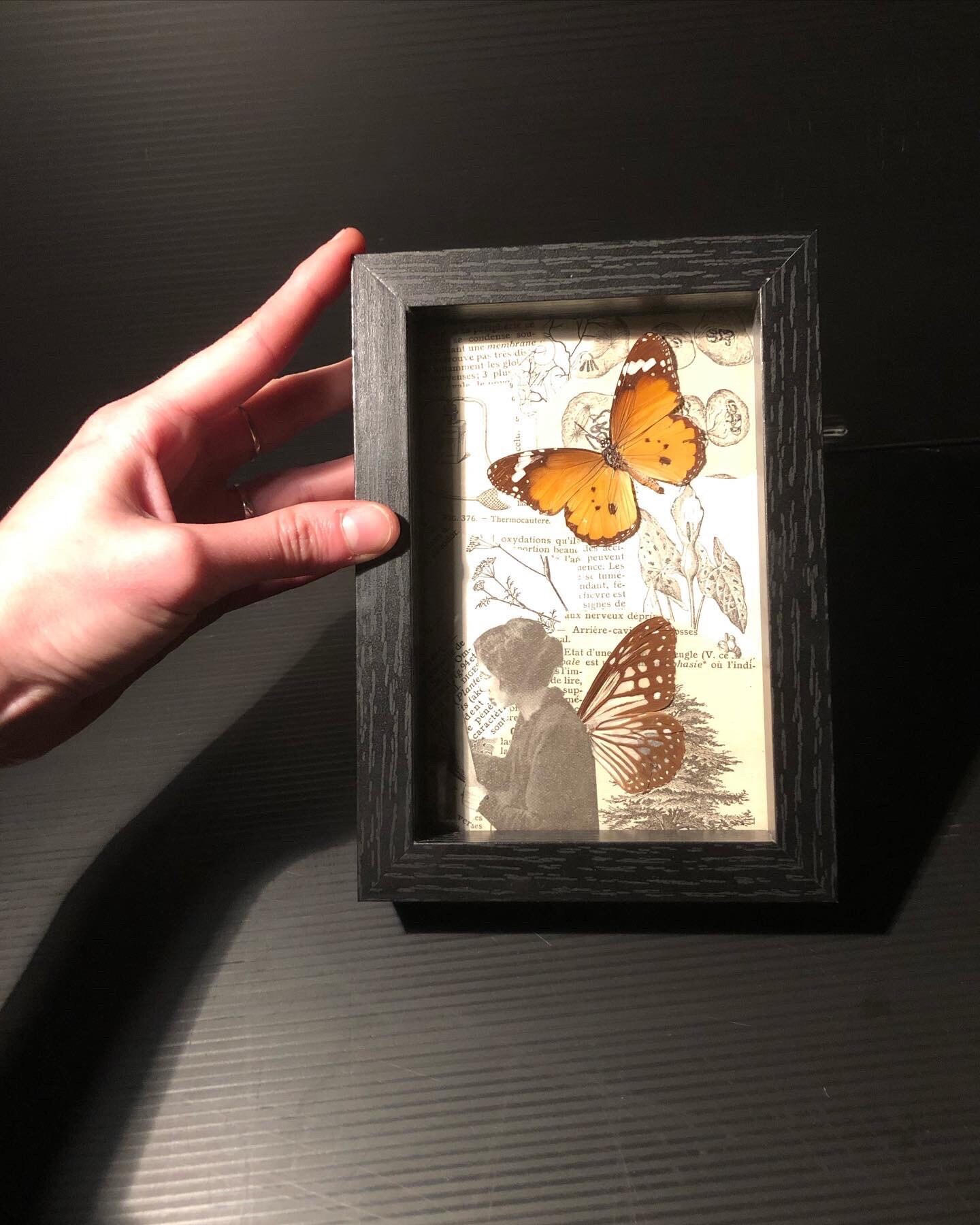 Cadre avec Collage et Papillons