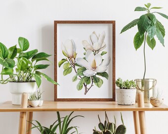 Watercolor Magnolia Botanical Art Print