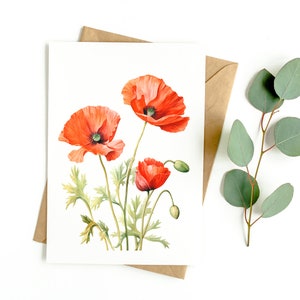 Cartão de felicitações botânico Red Poppy (PACOTE EM BRANCO COM 3)