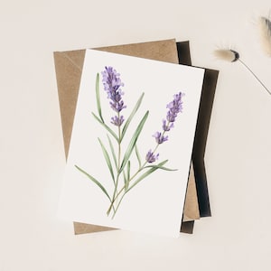 Cartão de felicitações botânico de flor de lavanda (PACOTE EM BRANCO COM 3)