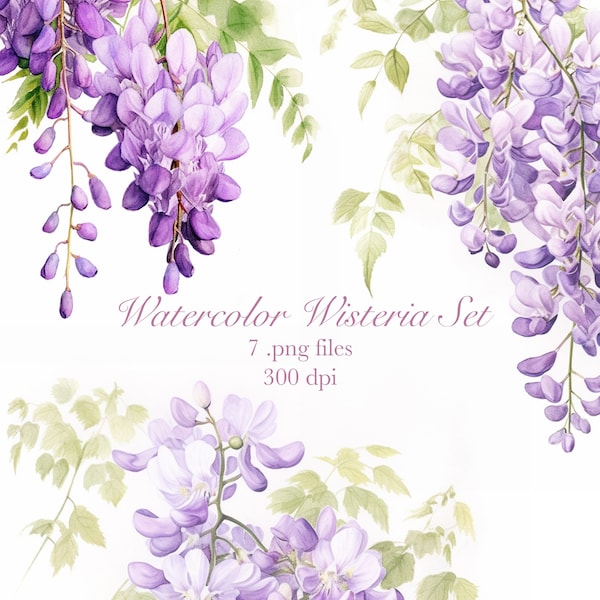 Aquarelle Glycine Clipart PNG Ensemble (7)