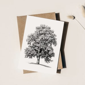 Cartão de felicitações Maple Tree (PACOTE EM BRANCO COM 3)