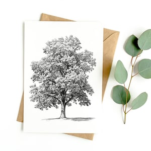 Carte de voeux Chêne (LOT DE 3)