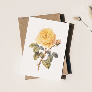 Botanische wenskaart gele roos (LEGE VERPAKKING VAN 3)