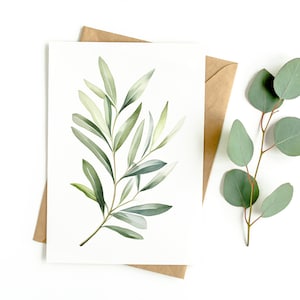 Wenskaart aquarel olijftak (LEGE VERPAKKING VAN 3)