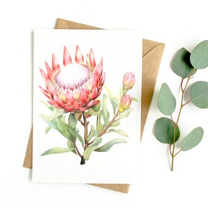 Botanische wenskaart Protea Flower (LEGE VERPAKKING VAN 3)